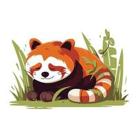 rouge Panda mensonge sur le herbe. mignonne dessin animé vecteur illustration.