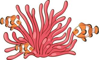 Corail de mer rose avec des poissons-clowns sur fond blanc vecteur