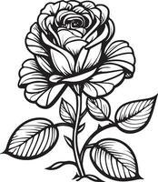 noir et blanc fleurs, esquisser, Rose. vecteur