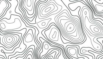 blanc Contexte avec topographique ondulé modèle. abstrait modèle avec lignes vecteur
