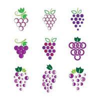 images de logo de raisin vecteur