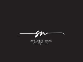 Signature sn logo art, minimaliste sn luxe logo icône vecteur
