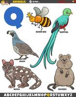 dessin animé animal personnages pour lettre q éducatif ensemble vecteur