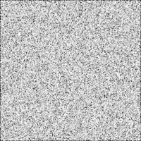 une noir et blanc image de une carré blanc bruit texture vecteur