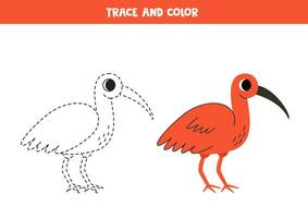 trace et Couleur dessin animé écarlate ibis. feuille de travail pour les enfants. vecteur