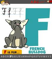 lettre F de alphabet avec français bouledogue chien vecteur