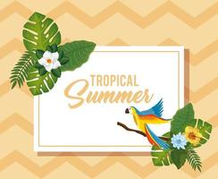 affiche d'été tropicale avec perroquet et fleurs vecteur