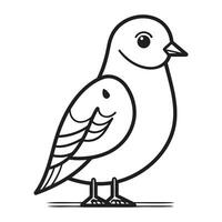 Pigeon isolé sur blanc Contexte. vecteur illustration dans contour style.