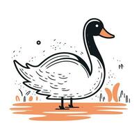 canard. vecteur illustration. main tiré griffonnage esquisser.