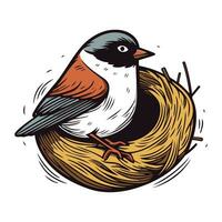 bouvreuil oiseau dans nid. vecteur illustration dans dessin animé style.