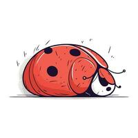 mignonne dessin animé coccinelle sur une blanc Contexte. vecteur illustration.