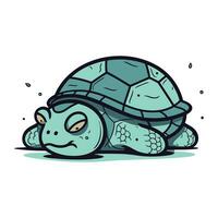 dessin animé tortue. vecteur illustration. isolé sur une blanc Contexte.