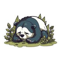 Panda en train de dormir dans le herbe. vecteur illustration de une sauvage animal.