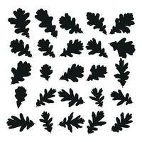 ensemble de vecteur silhouettes de une noir forme de chêne feuilles