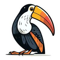 toucan. vecteur illustration isolé sur blanc Contexte. dessin animé toucan.