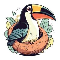 toucan dans le nid. vecteur illustration de une dessin animé toucan.