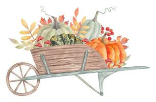 en bois jardin brouette avec différent citrouilles et feuilles, champignons. l'automne botanique arrangement pour saisonnier vacances et action de grâces. récolte concept. aquarelle main tiré isolé art vecteur