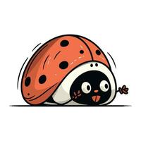 dessin animé mignonne coccinelle isolé sur blanc Contexte. vecteur illustration.