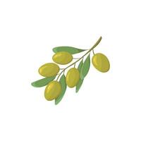 vert Olives et feuilles. isolé vecteur illustration sur une blanc Contexte. grec la nature aliments. plat style olive branche.