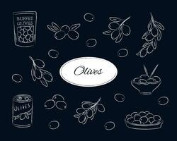 vecteur illustration avec olive branches, buffet Olives, en conserve Olives, et Olives sur une plaque. isolé vecteur illustration tiré dans craie.