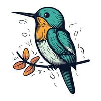 colibri sur une branche. vecteur illustration dans esquisser style.