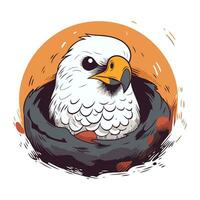 chauve Aigle dans le nid. vecteur illustration de une dessin animé style.