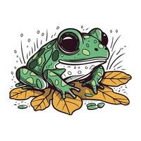 grenouille avec l'automne feuilles. vecteur illustration de une dessin animé grenouille.