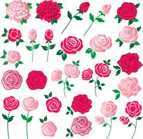 rose clipart vecteur