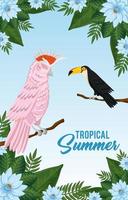 affiche d'été tropicale avec perroquet et toucan vecteur