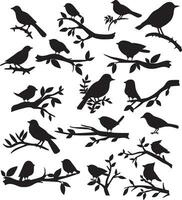 ensemble de oiseau et brindille silhouette. des oiseaux sur une branche vecteur illustration