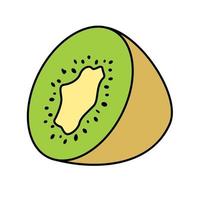 kiwi mûr vert naturellement dessiné coupé en deux. illustration vectorielle vecteur