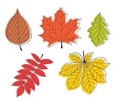 ensemble de collection de feuilles d'automne dessinés à la main. illustration vectorielle vecteur
