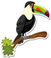 un modèle d'autocollant de personnage de dessin animé toucan vecteur