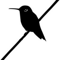 perché colibri silhouette, pouvez utilisation art illustration, site Internet, logo gramme, pictogramme ou graphique conception élément. vecteur illustration