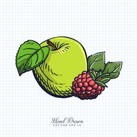 Illustration de fruits et légumes dessinée à la main vecteur