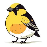 bouvreuil carduelis carduelis vecteur illustration