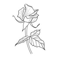 vecteur linéaire illustration de fleur sur blanc Contexte