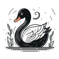 noir et blanc vecteur illustration de une cygne nager dans le étang.