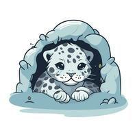 vecteur illustration de une mignonne dessin animé neige léopard dans une capot.