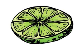 vecteur citron vert clipart. main tiré agrumes icône. fruit illustration. pour imprimer, la toile, conception, décor