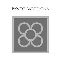 Panot, chaussée typique hydraulique de Barcelone vecteur