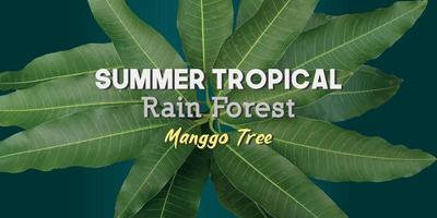 feuilles de mangue de la forêt tropicale d'été vecteur