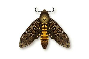 le décès tête papillon de nuit dans foncé marron couleurs. nuit mystique papillon avec une crâne. vecteur illustration de ailé insecte isolé sur blanc Contexte