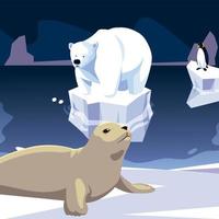 phoque et ours polaire animaux pôle nord iceberg vecteur