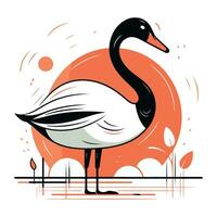 vecteur illustration de une blanc cygne sur une Contexte de Orange le coucher du soleil.