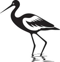 avocat oiseau vecteur silhouette illustration noir Couleur