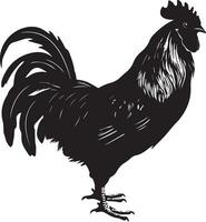 australorpe poulet vecteur silhouette illustration noir Couleur 14