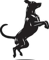 chien pose vecteur silhouette illustration noir Couleur