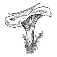 forêt champignon avec feuille. vecteur main tiré illustration de chanterelle dans une des bois peint par noir encres dans linéaire style. rétro monochrome dessin de champignon pour icône ou logo. tomber gravure