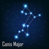 la constellation canis étoile majeure dans le ciel nocturne. vecteur